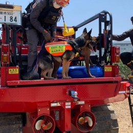 「捜索救助犬HDS-K9」 広がる支援の輪