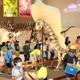 豊橋市自然史博物館 16日から「ポケモン化石博物館」