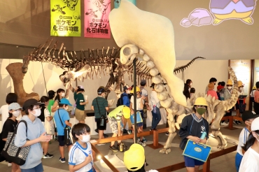 ポケモンと古生物の標本を見比べる小学生ら=市自然史博物館で